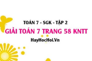 Giải Toán 7 trang 58 tập 2 Kết nối tri thức